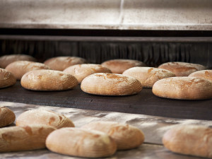 Upečte to s námi, říkají pekaři z budějického Penamu