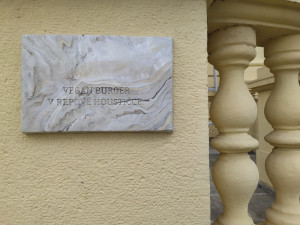 Vegan burger v řepové houstičce.