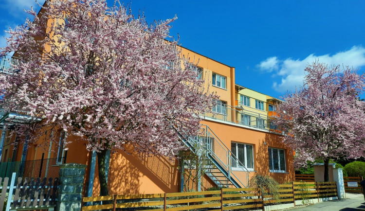 Bez vysoce kvalifikovaných zaměstnanců nemůžete nikdy nabízet nadstandardní a kvalitní služby, zní z Alzheimercentra Písek