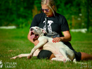 Amon je srdcař, který miluje lidskou pozornost. Najde nový domov?