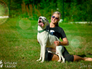 Amon je srdcař, který miluje lidskou pozornost. Najde nový domov?