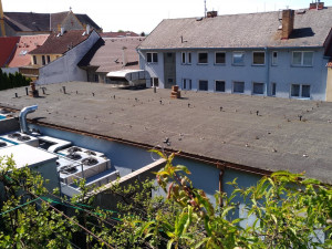 Jednička na trhu hostingových služeb hledá posily do týmu