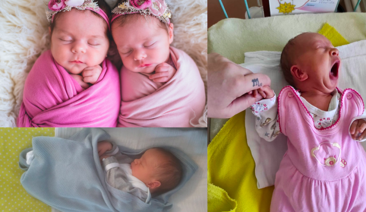 SOUTĚŽ: Hlasujte pro drbňátko července