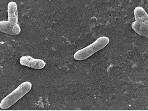 Očkování „nad rámec“