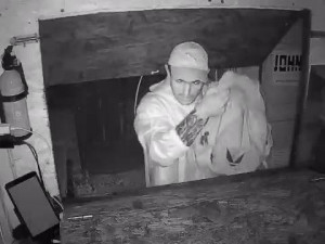 Při vloupání do stánku s občerstvením zachytila zloděje kamera. Pátrá po něm policie