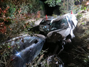 Devětačtyřicetiletý řidič narazil do stromu. V nemocnici později zemřel