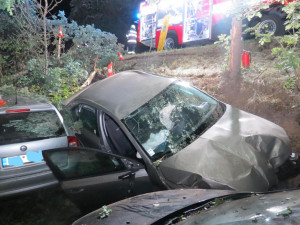 Devětačtyřicetiletý řidič narazil do stromu. V nemocnici později zemřel