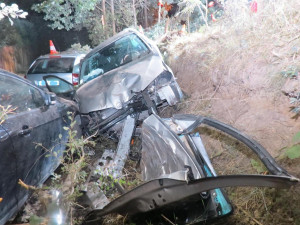 Devětačtyřicetiletý řidič narazil do stromu. V nemocnici později zemřel