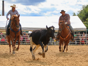 Přijďte na sobotní rodeo do Boršova