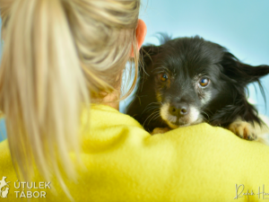 Morgana si pomalu zvyká na nový život. Najde také nové páníčky?