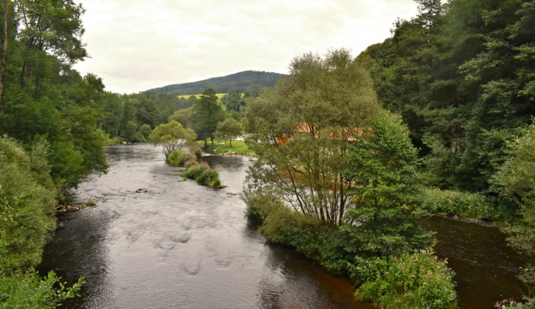 Řeka Vltva nedaleko Rožmberka nad Vltavou