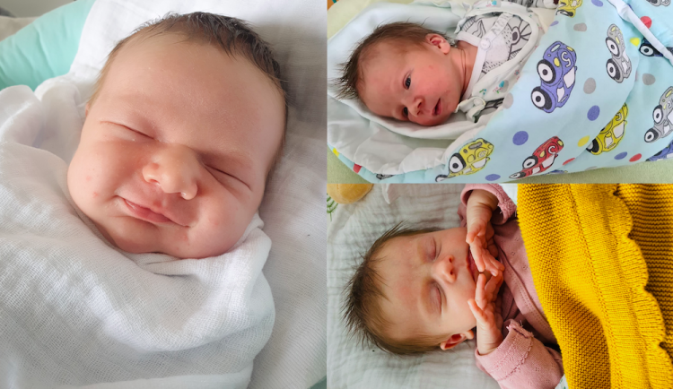 SOUTĚŽ: Hlasujte pro drbňátko srpna