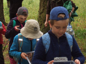 O lese je nejlepší učit v lese. Lesní pedagogika přibližuje děti k přírodě, říká Martina Skřivanová