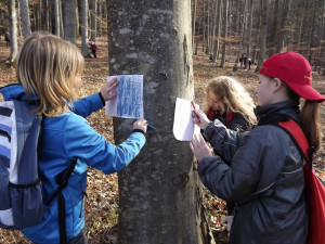 O lese je nejlepší učit v lese. Lesní pedagogika přibližuje děti k přírodě, říká Martina Skřivanová