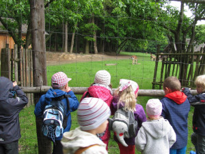 O lese je nejlepší učit v lese. Lesní pedagogika přibližuje děti k přírodě, říká Martina Skřivanová