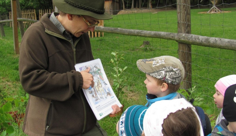 O lese je nejlepší učit v lese. Lesní pedagogika přibližuje děti k přírodě, říká Martina Skřivanová