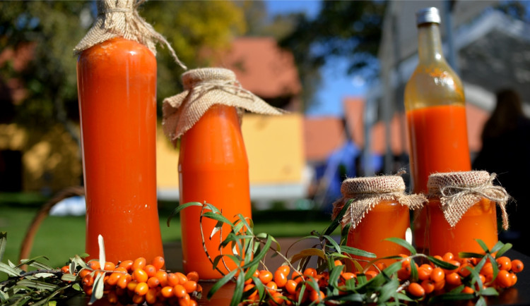 Hody s plody podzimu proběhnou v Klášteře Borovany v sobotu 9. října