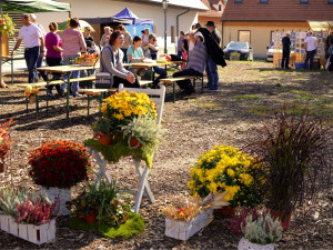 Hody s plody podzimu proběhnou v Klášteře Borovany v sobotu 9. října