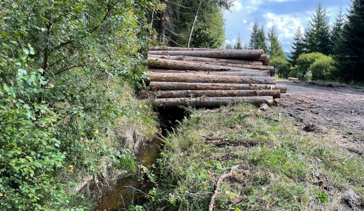 Fotografie Schwarzenberského kanálu z facebookové skupiny, podle které je za ničení této památky zodpovědná Správa NP Šumava.