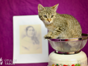 HLEDÁME PÁNÍČKA: