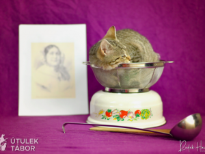 HLEDÁME PÁNÍČKA: