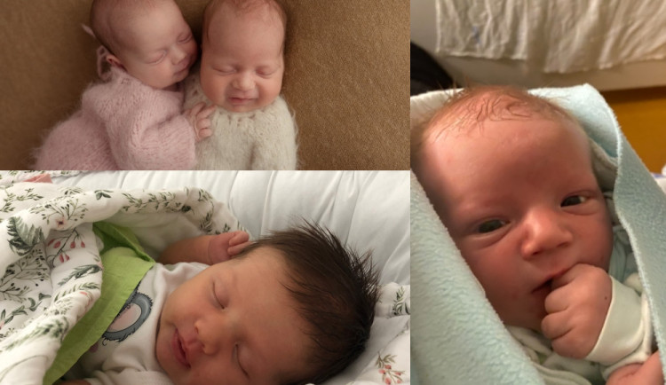 SOUTĚŽ: Hlasujte pro drbňátko září