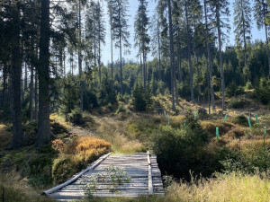 Tip na víkend: Srdce a krásná vyhlídka. Vyrazte přes Zlatou Ktiš na Nebelstein