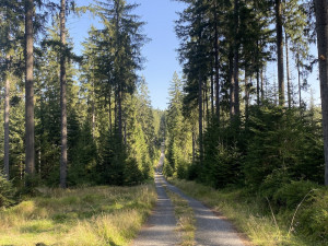 Tip na víkend: Srdce a krásná vyhlídka. Vyrazte přes Zlatou Ktiš na Nebelstein