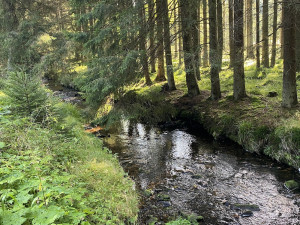 Tip na víkend: Srdce a krásná vyhlídka. Vyrazte přes Zlatou Ktiš na Nebelstein
