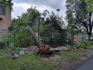Hasiči vyjíždějí od rána k popadaným stromům. Výstraha před silným větrem trvá až do večera
