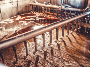 Budějovický Budvar vaří pivo už 126 let. Začátky provázely dramatické spory