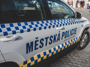 Strážník dal pěstí ženě, která mu odmítala ukázat doklady. Dostane výpověď