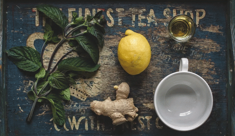 245825355_173885174915960_8950958880036537344_n (1)