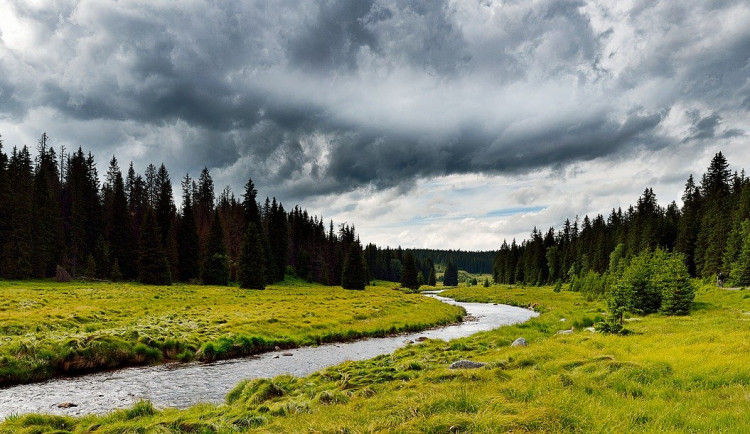 Klimatická změna ovlivnila i podmínky na Šumavě, ukázal výzkum Čechů a Němců