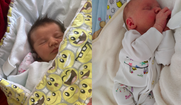 Soutěž o drbňátko měsíce je u konce. Vítězkou je Eliška Konzalová