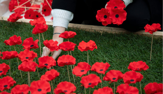 V Liberci vyroste políčko vlčího máku z ručně tvořených kvítků. Připomene válečné veterány
