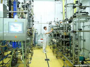 Ulevit od ekzémů a lupenky dokáže česká rašelina