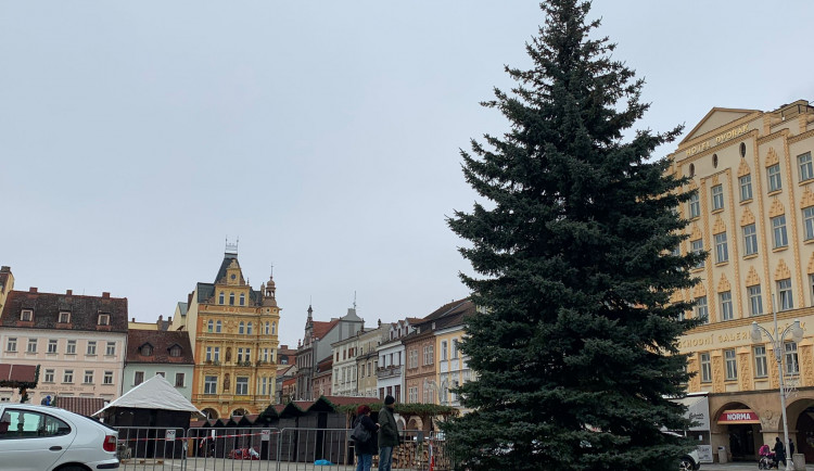 Na náměstí dorazil vánoční strom. Slavnostní rozsvícení proběhne na konci listopadu