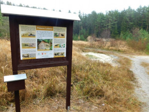 Nová informační tabule informuje návštěvníky o přírodních hodnotách pískovny.