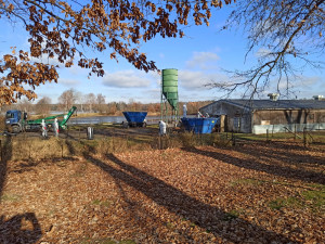 V chovu u Nových Hradů se znovu potvrdila ptačí chřipka, hejno hus se utratí