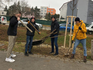 Studenti Česko-anglického gymnázia vysázeli v Suchém Vrbném deset lip