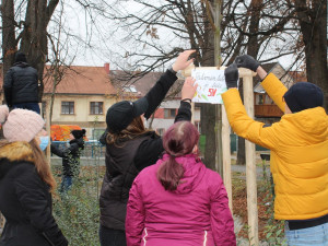 Studenti Česko-anglického gymnázia vysázeli v Suchém Vrbném deset lip