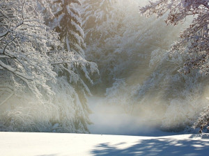 Od Šumavy po Krkonoše a Jeseníky napadne až 15 centimetrů sněhu
