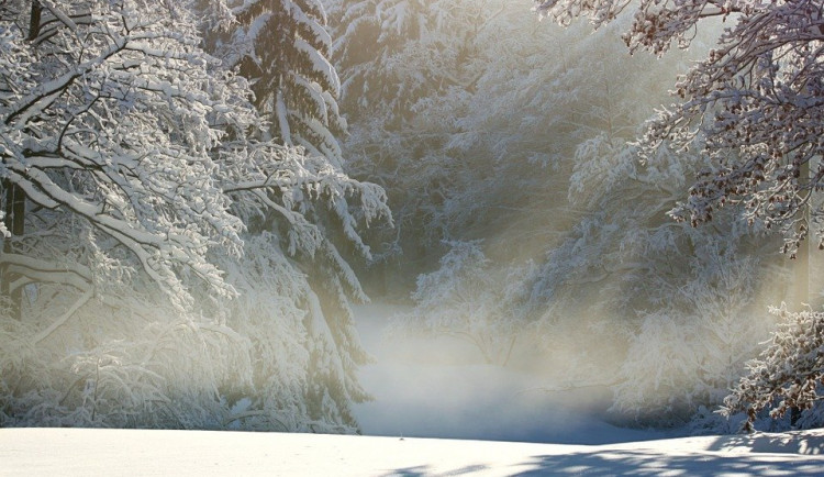 Od Šumavy po Krkonoše a Jeseníky napadne až 15 centimetrů sněhu