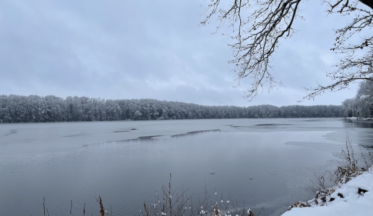 V první polovině prosince se mírně oteplí