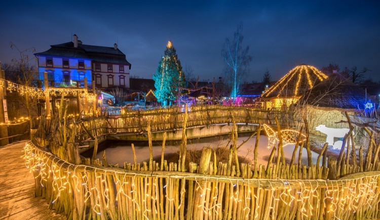 Rok se s rokem sešel a v Jihočeské zoologické zahradě Hluboká nad Vltavou je pro návštěvníky opět připravena Vánočně nasvícená zoo