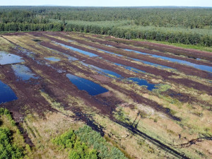 Celkový pohled na revitalizované rašeliniště Hrdlořezy. Foto: Martin Kysela