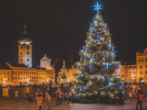 První vánoční strom byl na budějckém náměstí v roce 1925