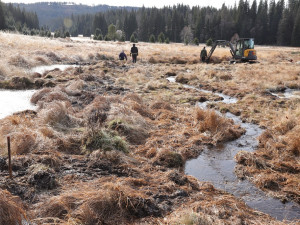 Na Šumavě pokračuje obnova mokřadů. Letos oživili pravděpodobně největší vysušené prameniště