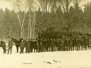 Strom naložen po skácení 17. 12. 1925